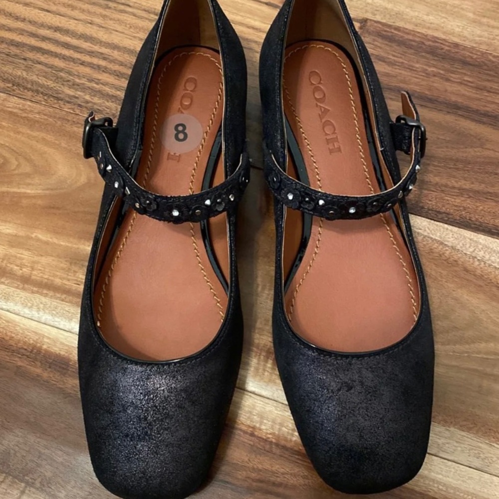 Coach flats